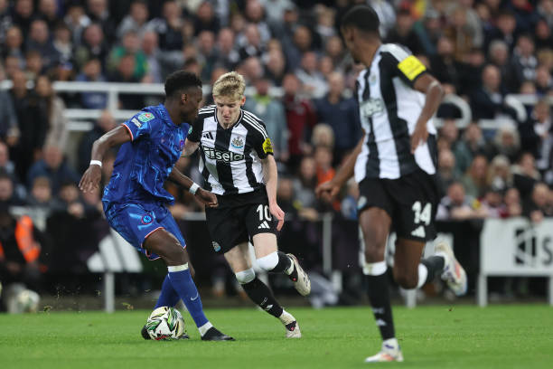 王曼昱和蒯 王曼昱和蒯