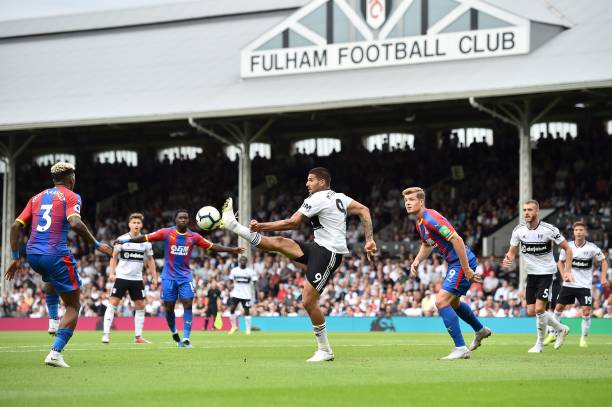 最大的特點 最大的特點